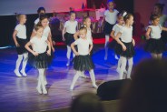 III Gala Siemianowickich Barw Wolontariatu.