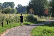 Ścieżki pieszo-rowerowe na "Rzęsie" w kierunku stawu Remiza i pola golfowego...