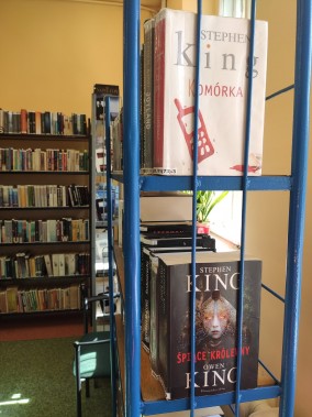 Wnętrze Biblioteki. Widok na regały z książkami