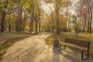 Park Hutnik - Alejki