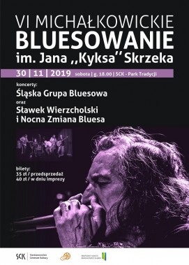 VI Michałkowickie Bluesowanie - plakat