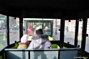 Mikołajkowe atrakcje na Rynku Miejskim.