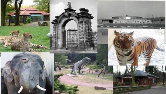 ZOO w Akademii Muzealnej