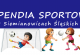 Wnioski o stypendium sportowe w sportach zespołowych