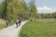 Ścieżki pieszo-rowerowe na "Rzęsie". Siemianowice Ślaskie.