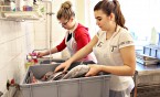Wolontariusze z Cogito przygotowują MEGA WIGILIĘ - pomóżmy im