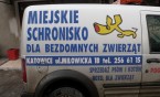 Przetrwać zimę
