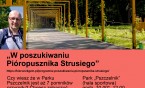 W poszukiwaniu pióropusznika strusiego. Kierunek GZM Poznajmy się 2 lipca. Wycieczka