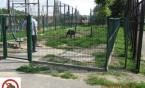 Warto inwestować w wybieg?