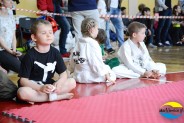 XIII Mistrzostwa w taekwondo o Puchar Wójta Gminy Marklowice.