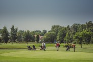 Pole golfowe