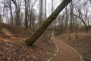 Park Ludowy nabiera blasku.