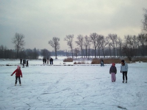 Staw Rzęsa zimą