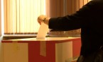 Konsultacje w sprawie kart wyborczych 