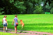 Park GÓRNIK