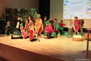 Siemianowickie Barwy Wolontariatu 2016, Wolontariusz Roku 2016