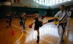 Pokazy Taekwondo SSW Striker