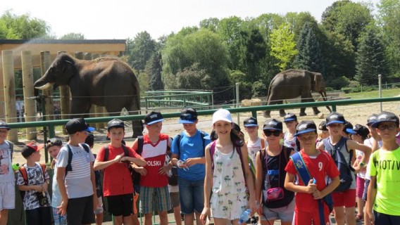 Uczestnicy półkolonii w DK "Chemik" odwiedzili chorzowskie ZOO