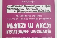 Dyplom Młodzi w akcji