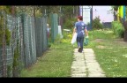 Siemianowicka Telewizja Internetowa, odc. 13