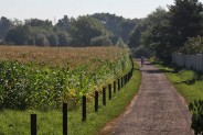 Ścieżki pieszo-rowerowe na "Rzęsie" w kierunku stawu Remiza i pola golfowego...
