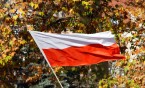 Świętujemy niepodległość