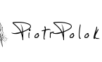 PIOTR POLOK
