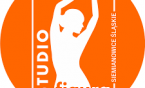 Studio Figura