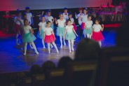 III Gala Siemianowickich Barw Wolontariatu.