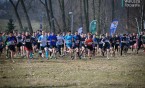Siemianowice Śląskie stolicą ...akademickich biegów !