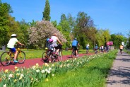 Ścieżki Rowerowe Miejskie