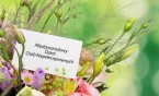 Międzynarodowy Dzień Osób z Niepełnosprawnością