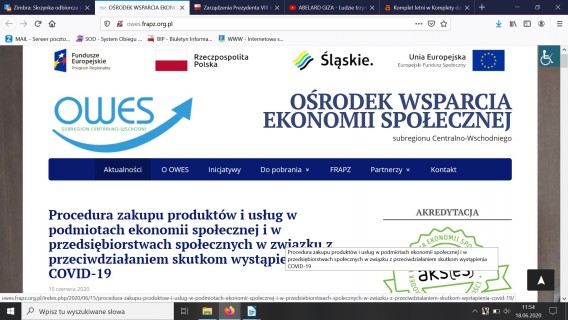 Strona internetowa OWES