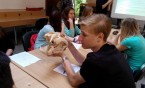 Meritum na lekcji w ZOO