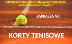 Zapraszamy na korty tenisowe do Parku Pszczelnik