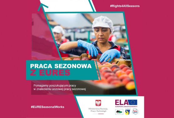 Grafika związana z pracą sezonową w ramach EURES.