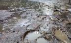 Informacja o zagospodarowaniu wód deszczowych