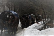 Sanie z dziećmi podczas kuligu