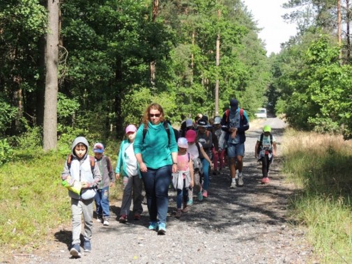 Wycieczka na Jurę Krakowsko - Częstochowską