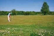 Pole golfowe (4)