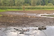 Staw Rzęsa