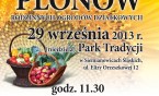 Dożynki w Michałkowicach
