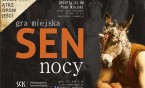 Sen nocy - gra miejska w Parku
