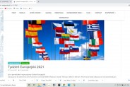 Monitor - flagi narodowe