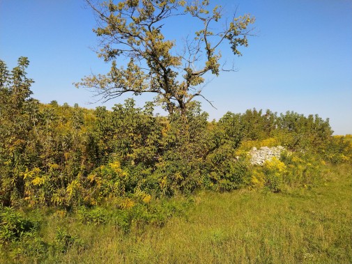Cmentarz przed akcją