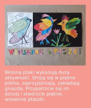 Kolorowy ptak