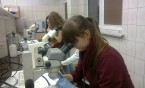 Noc Biologów