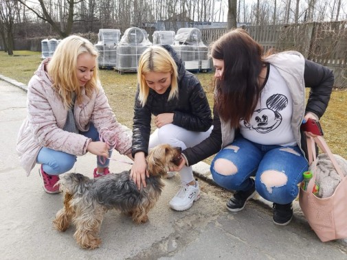 Młodzież w schronisku dla zwierząt