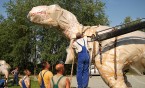 Uwaga na dinozaury!