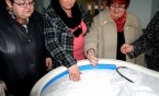 Siemianowice XXI wieku